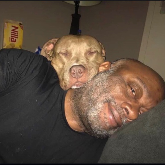 Meet your Posher, Sean - Picture 2 of 16